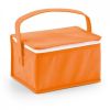 Picnic izmir. bolsa nevera no tejido naranja para personalizar vista 1