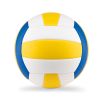 VOLLEY Volleybal